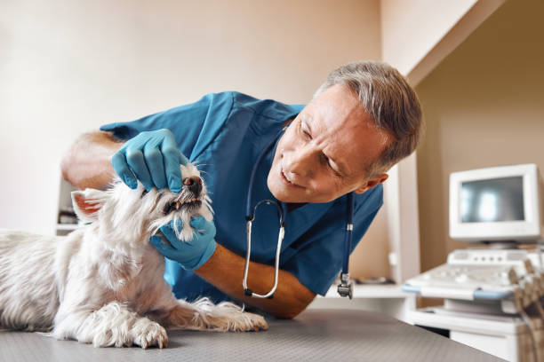 Best Emergency Broken Tooth Repair in Hearne, TX
